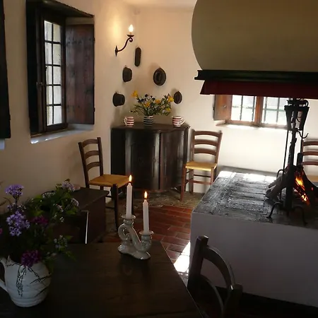 Beria De Carvalho De Puppi