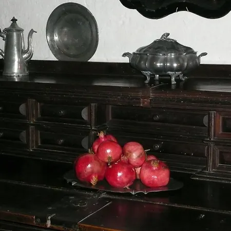 Beria De Carvalho De Puppi *