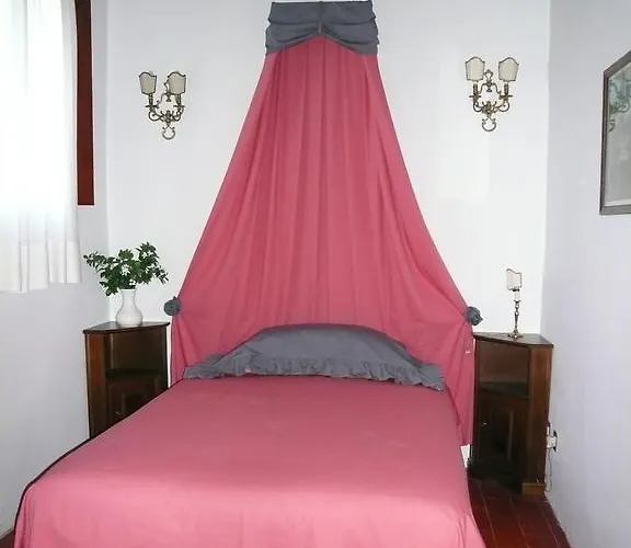 Beria De Carvalho De Puppi