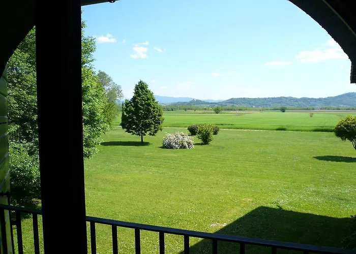 Beria De Carvalho De Puppi *