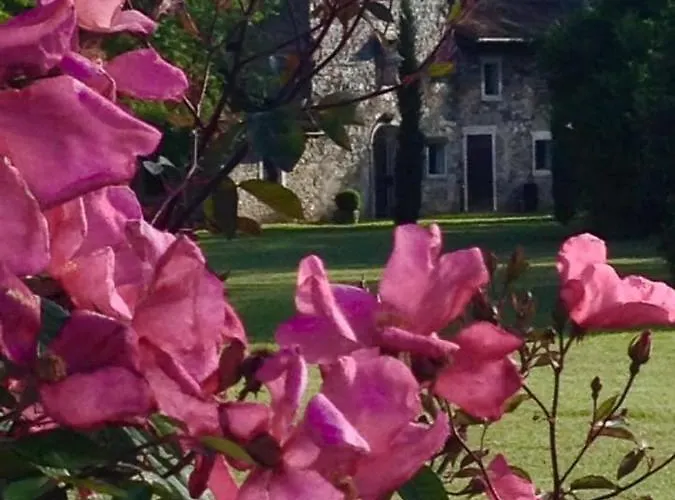 Beria De Carvalho De Puppi San Giovanni al Natisone